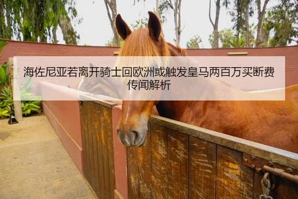 海佐尼亚若离开骑士回欧洲或触发皇马两百万买断费传闻解析